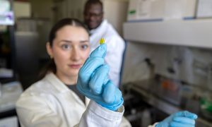 From textbooks to tissue models