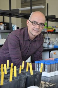 UBC researchers conclude root systems and fungi do more than feed trees